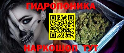 прущие грибы Кимры