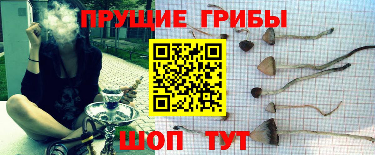 Красноярск  Галлюциногенные грибы Psilocybine cubensis  Вход с VPN 